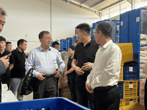 印度尼西亚公共海外仓2